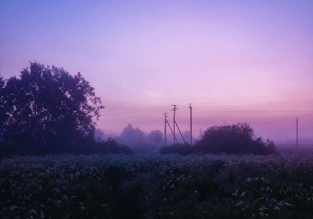 Letme：WBG的比赛，小虎一次不死什么概念！